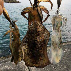 釣り納めが出来ました！